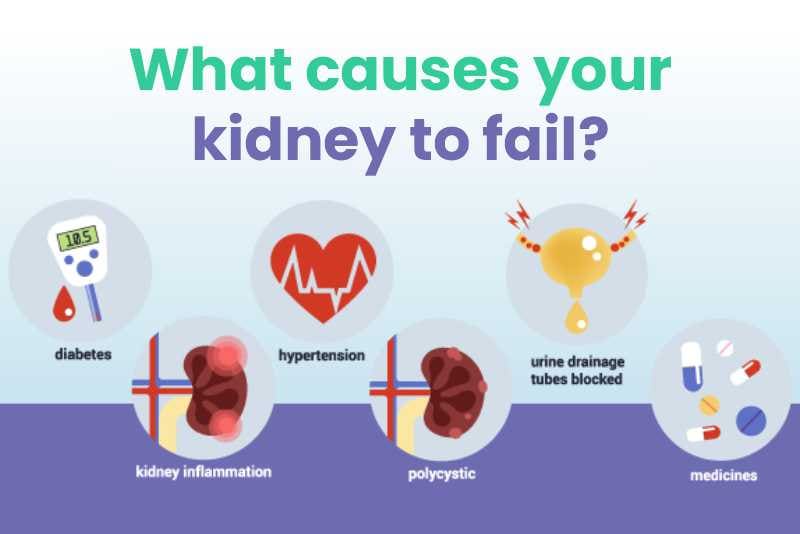 What causes your kidney to fail?